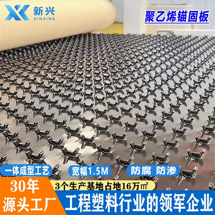 新兴 混凝土保护多点锚固衬板 防腐防渗多点锚固板厂家